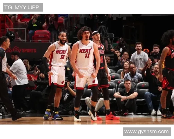 2009年NBA季后赛热火与公牛精彩对决录像回放全程回顾与分析