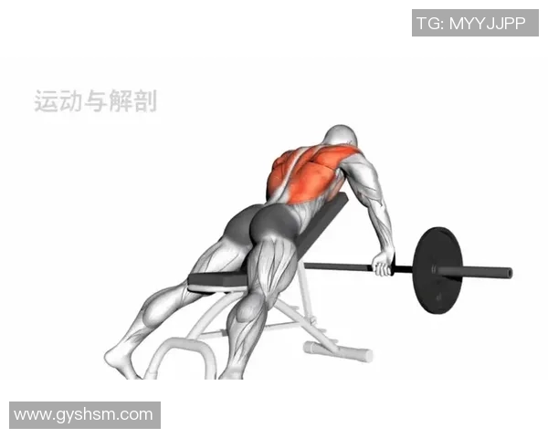 全面提升力量与肌肉线条的哑铃训练方法解析与技巧分享